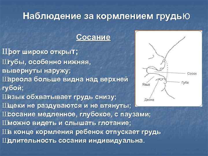 Наблюдение за кормлением грудью Сосание Ш широко открыт; рот Ш губы, особенно нижняя, вывернуты