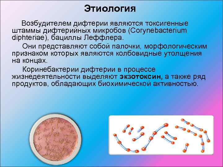 Возбудители дифтерии являются