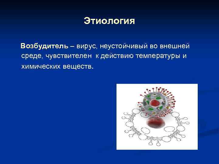 Этиология Возбудитель – вирус, неустойчивый во внешней среде, чувствителен к действию температуры и химических