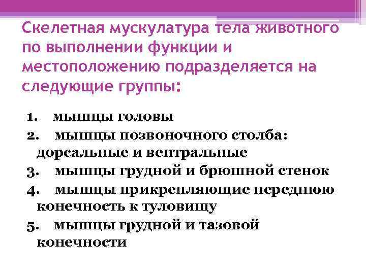 Скелетная мускулатура тела животного по выполнении функции и местоположению подразделяется на следующие группы: 1.