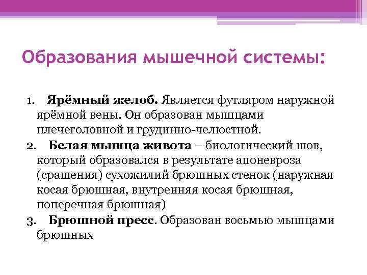 Образования мышечной системы: 1. Ярёмный желоб. Является футляром наружной ярёмной вены. Он образован мышцами