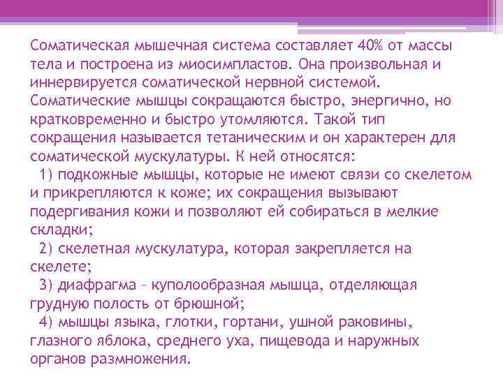 Соматическая мышечная система составляет 40% от массы тела и построена из миосимпластов. Она произвольная