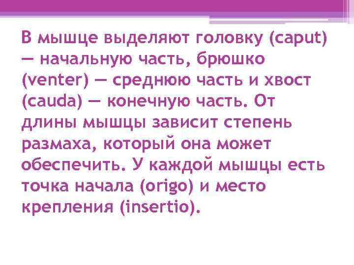 В мышце выделяют головку (caput) — начальную часть, брюшко (venter) — среднюю часть и