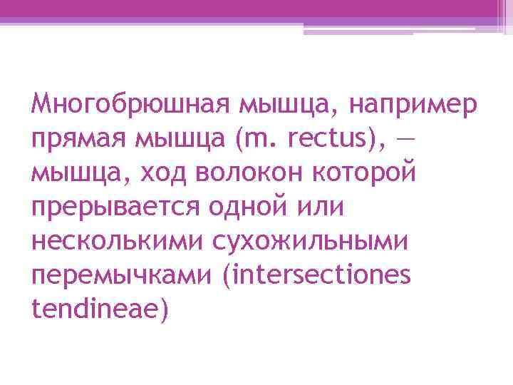Многобрюшная мышца, например прямая мышца (m. rectus), — мышца, ход волокон которой прерывается одной