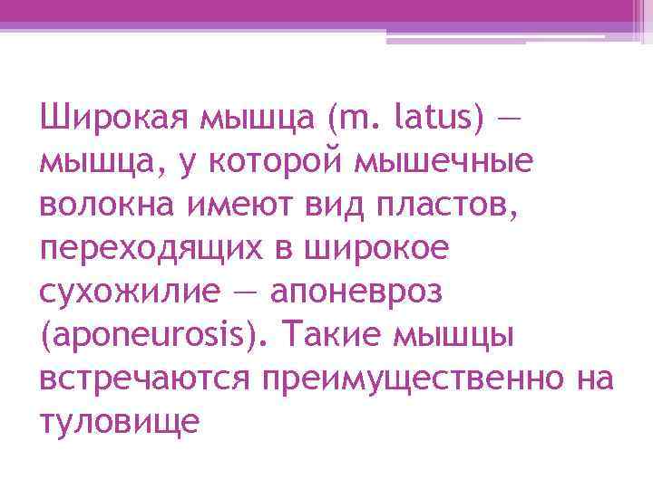 Широкая мышца (m. latus) — мышца, у которой мышечные волокна имеют вид пластов, переходящих