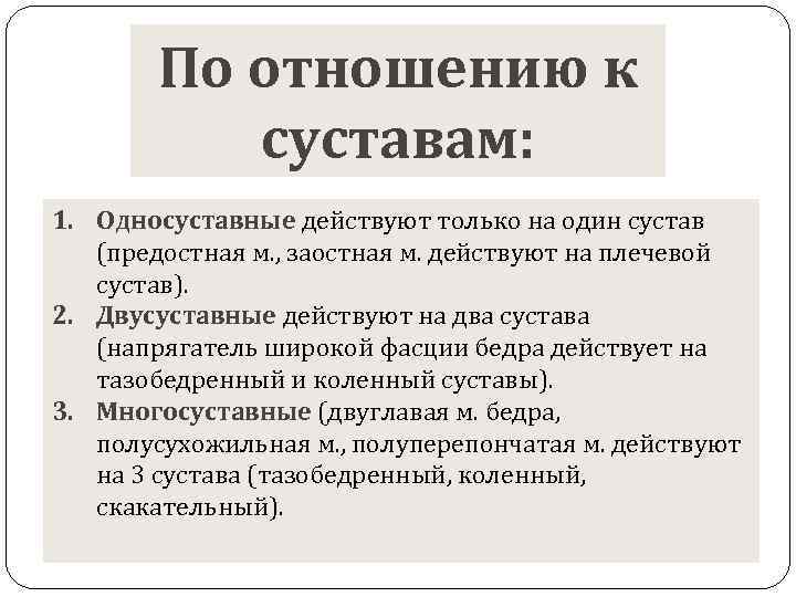 По отношению к суставам: 1. Односуставные действуют только на один сустав (предостная м. ,