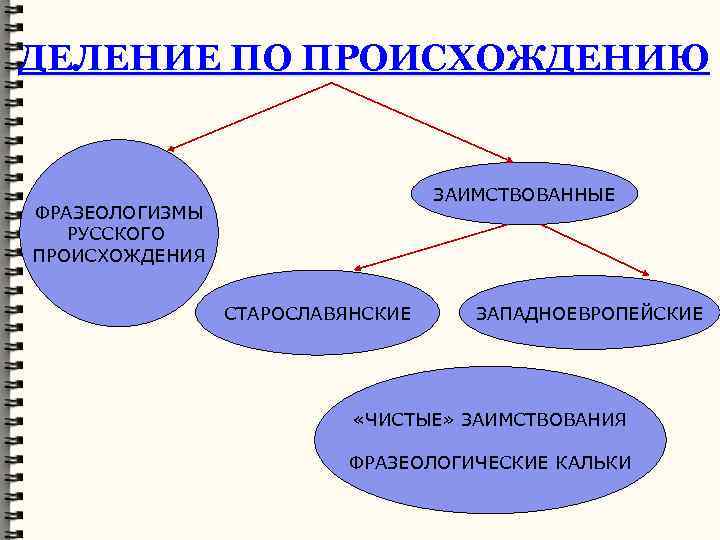 ДЕЛЕНИЕ ПО ПРОИСХОЖДЕНИЮ ЗАИМСТВОВАННЫЕ ФРАЗЕОЛОГИЗМЫ РУССКОГО ПРОИСХОЖДЕНИЯ СТАРОСЛАВЯНСКИЕ ЗАПАДНОЕВРОПЕЙСКИЕ «ЧИСТЫЕ» ЗАИМСТВОВАНИЯ ФРАЗЕОЛОГИЧЕСКИЕ КАЛЬКИ 