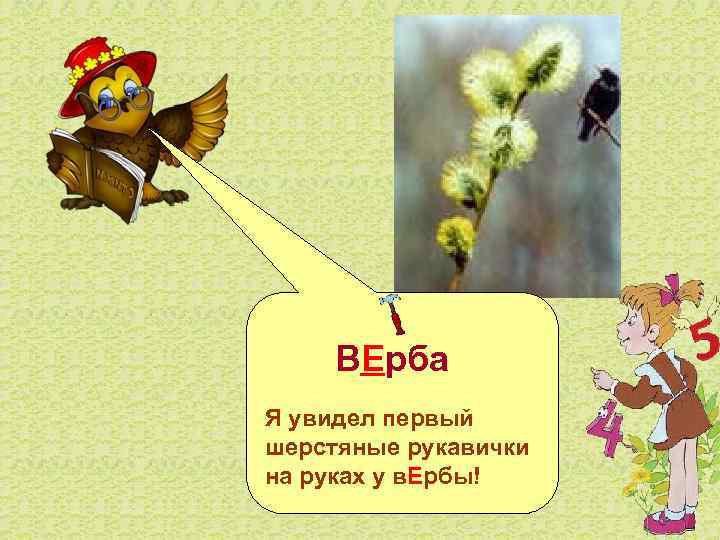  ВЕрба Я увидел первый шерстяные рукавички на руках у в. Ербы! 