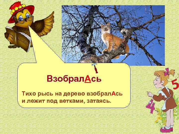  Взобрал. Ась Тихо рысь на дерево взобрал. Ась и лежит под ветками, затаясь.