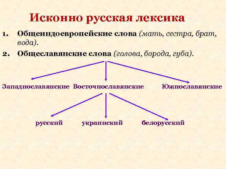 Исконно русская лексика 1. 2. Общеиндоевропейские слова (мать, сестра, брат, вода). Общеславянские слова (голова,
