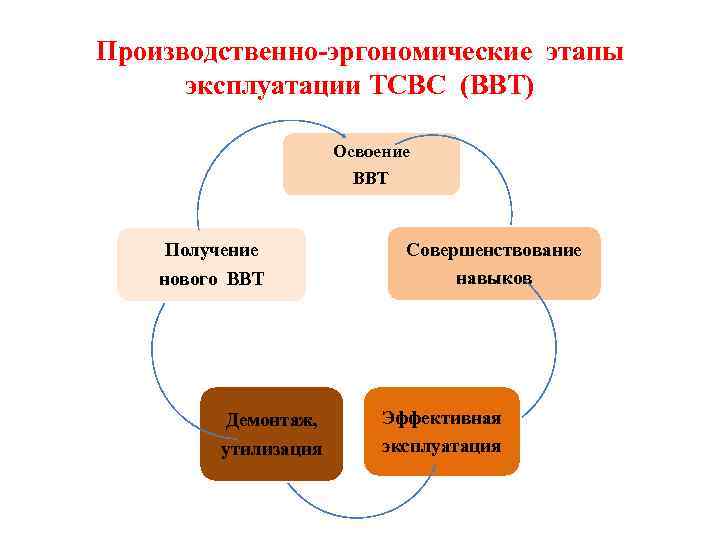 Производственно-эргономические этапы эксплуатации ТСВС (ВВТ) Освоение ВВТ Получение нового ВВТ Совершенствование навыков Демонтаж, Эффективная