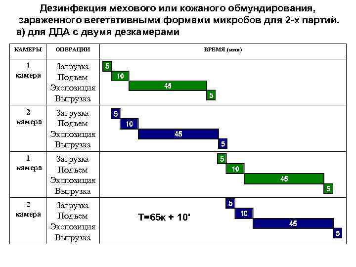 Дезинфекция мехового или кожаного обмундирования, зараженного вегетативными формами микробов для 2 -х партий. а)