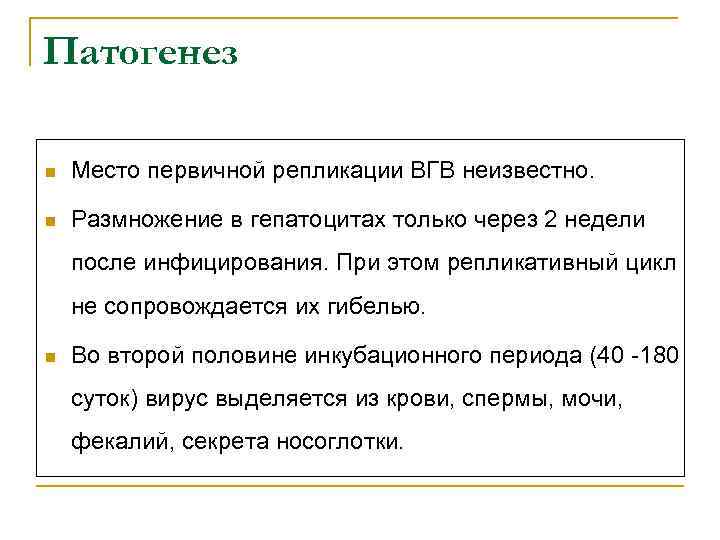 Патогенез n Место первичной репликации ВГВ неизвестно. n Размножение в гепатоцитах только через 2