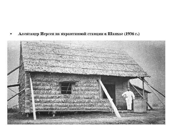 • Александр Иерсен на карантинной станции в Шанхае (1936 г. ) 