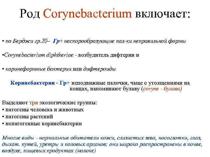 Род Corynebacterium включает: • по Берджи гр. 20– Гр+ неспорообразующие пал-ки неправильной формы •