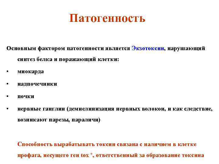 Патогенность Основным фактором патогенности является Экзотоксин, нарушающий синтез белка и поражающий клетки: • миокарда