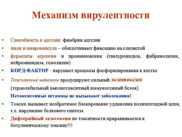 Механизм вирулентности • Способность к адгезии: фимбрии адгезии • пили и микрокапсула – обеспечивают
