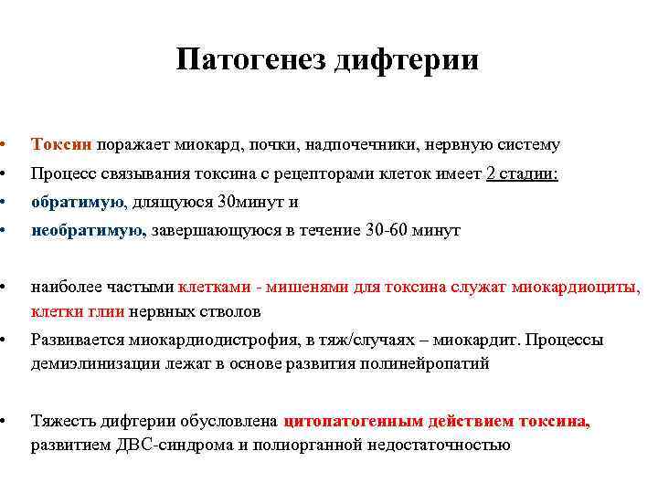 Патогенез дифтерии • Токсин поражает миокард, почки, надпочечники, нервную систему • Процесс связывания токсина