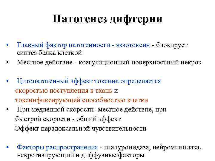 Патогенез дифтерии • • Главный фактор патогенности - экзотоксин - блокирует синтез белка клеткой