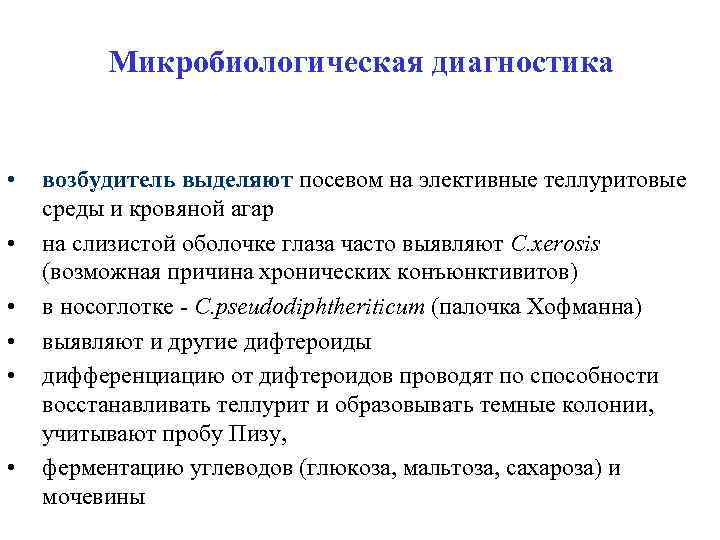 Микробиологическая диагностика • • • возбудитель выделяют посевом на элективные теллуритовые среды и кровяной