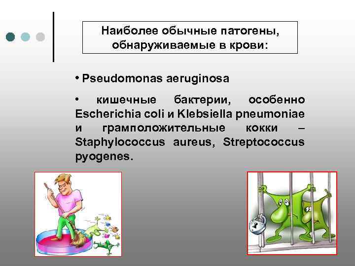 Наиболее обычные патогены, обнаруживаемые в крови: • Pseudomonas aeruginosa • кишечные бактерии, особенно Escherichia