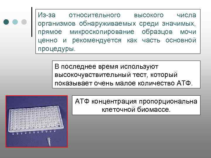 Из-за относительного высокого числа организмов обнаруживаемых среди значимых, прямое микроскопирование образцов мочи ценно и