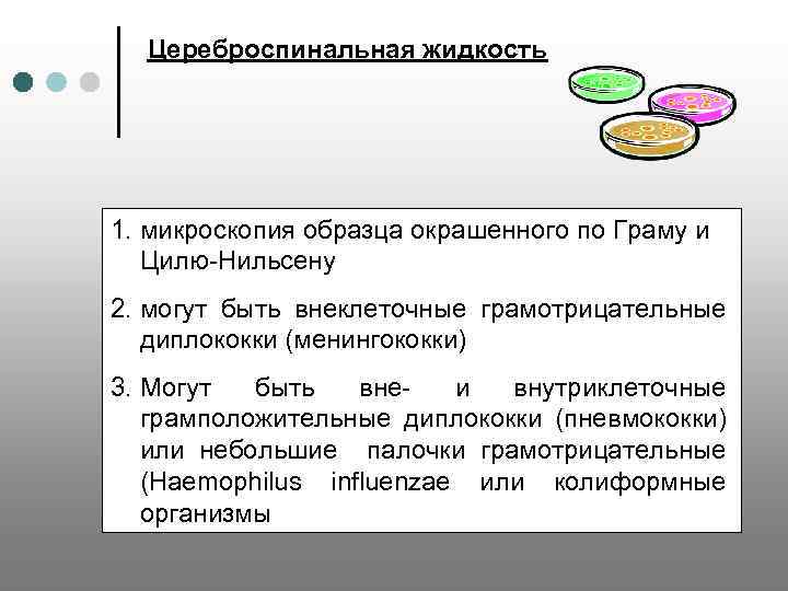 Цереброспинальная жидкость 1. микроскопия образца окрашенного по Граму и Цилю-Нильсену 2. могут быть внеклеточные