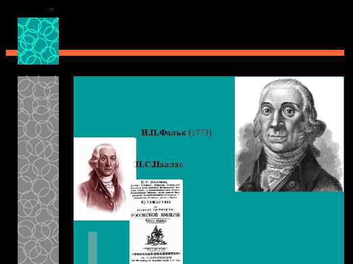 И. П. Фальк (1773) П. С. Паллас 