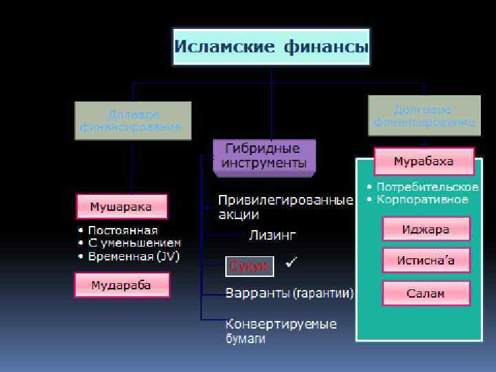 Исламские финансы 