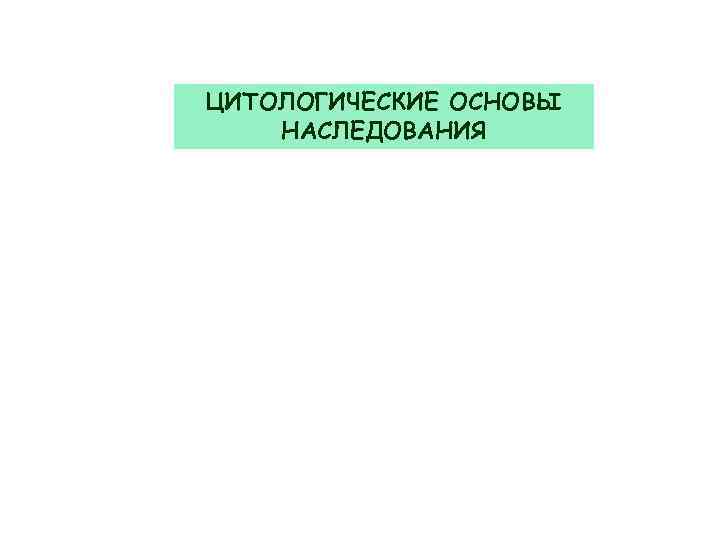 ЦИТОЛОГИЧЕСКИЕ ОСНОВЫ НАСЛЕДОВАНИЯ 