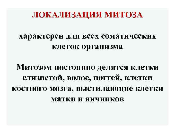ЛОКАЛИЗАЦИЯ МИТОЗА характерен для всех соматических клеток организма Митозом постоянно делятся клетки слизистой, волос,