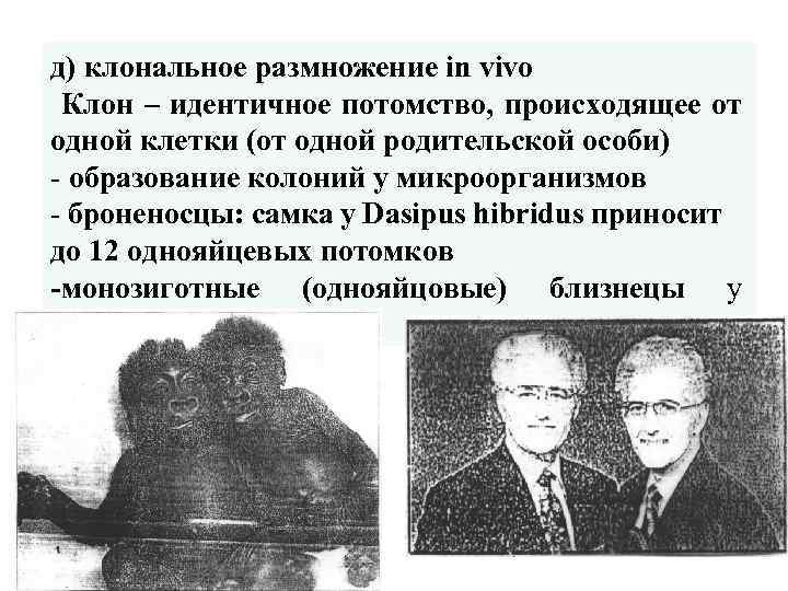 д) клональное размножение in vivo Клон – идентичное потомство, происходящее от одной клетки (от