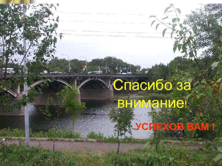 Спасибо за внимание! УСПЕХОВ ВАМ ! 