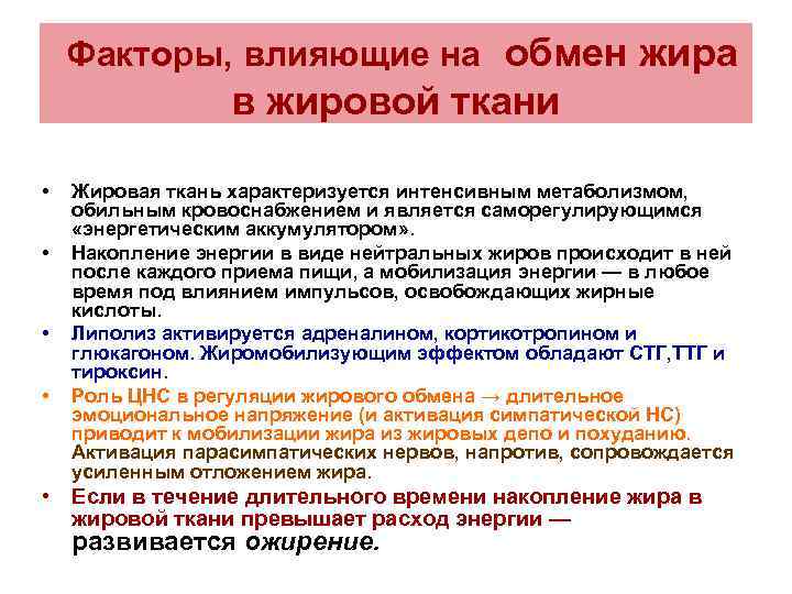 Факторы, влияющие на обмен жира в жировой ткани • • Жировая ткань характеризуется интенсивным