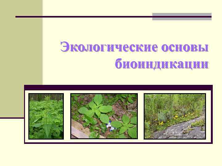 Экологические основы биоиндикации 