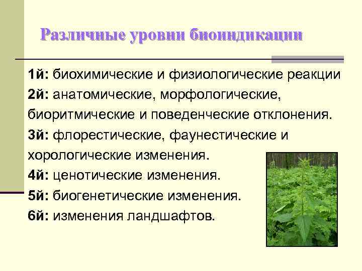 Различные уровни биоиндикации 1 й: биохимические и физиологические реакции 2 й: анатомические, морфологические, биоритмические
