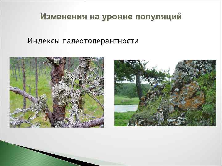 Изменения на уровне популяций Индексы палеотолерантности 