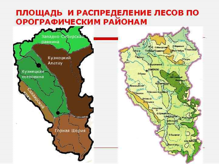 ПЛОЩАДЬ И РАСПРЕДЕЛЕНИЕ ЛЕСОВ ПО ОРОГРАФИЧЕСКИМ РАЙОНАМ 