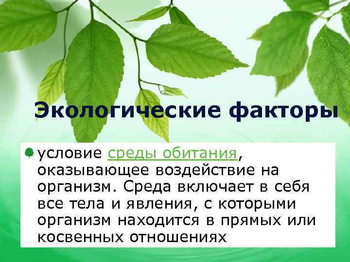 Экологические факторы условие среды обитания, оказывающее воздействие на организм. Среда включает в себя все