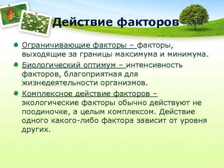 Действие факторов Ограничивающие факторы – факторы, выходящие за границы максимума и минимума. Биологический оптимум