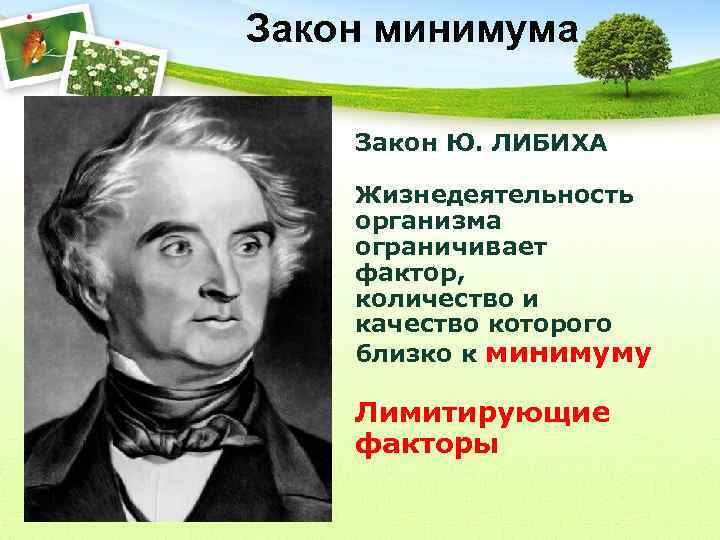 Закон минимума Закон Ю. ЛИБИХА Жизнедеятельность организма ограничивает фактор, количество и качество которого близко