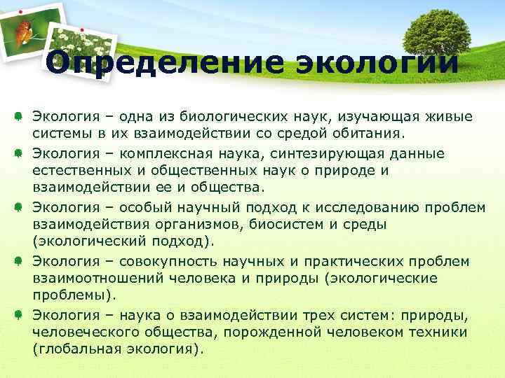 Определение экологии Экология – одна из биологических наук, изучающая живые системы в их взаимодействии