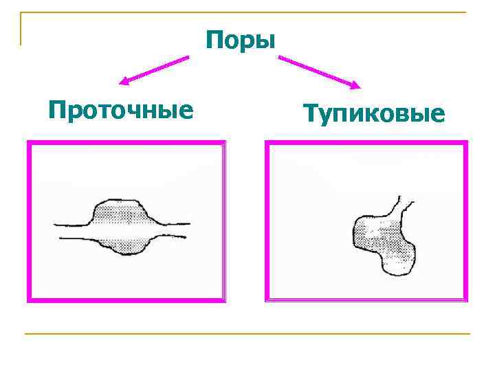 Поры Проточные Тупиковые 