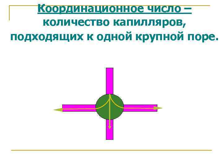 Координационное число – количество капилляров, подходящих к одной крупной поре. 