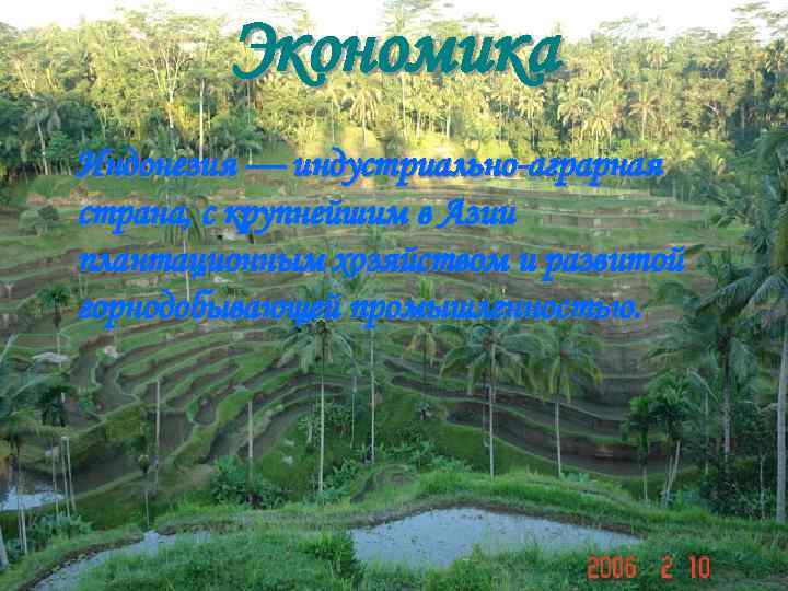 Экономика Индонезия — индустриально-аграрная страна, с крупнейшим в Азии плантационным хозяйством и развитой горнодобывающей