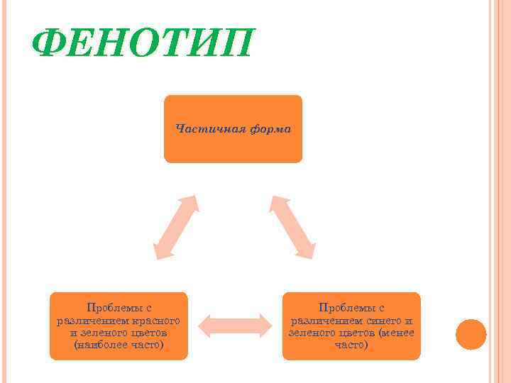 ФЕНОТИП Частичная форма Проблемы с различением красного и зеленого цветов (наиболее часто) Проблемы с