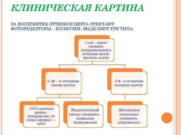 КЛИНИЧЕСКАЯ КАРТИНА ЗА ВОСПРИЯТИЕ ОТТЕНКОВ ЦВЕТА ОТВЕЧАЮТ ФОТОРЕЦЕПТОРЫ – КОЛБОЧКИ. ВЫДЕЛЯЮТ ТРИ ТИПА: 1