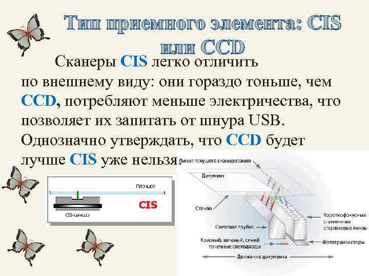 Тип приемного элемента: CIS или CCD Сканеры CIS легко отличить по внешнему виду: они
