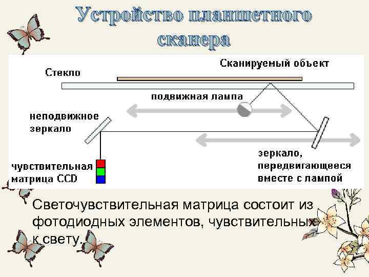 Устройство планшетного сканера Светочувствительная матрица состоит из фотодиодных элементов, чувствительных к свету. 