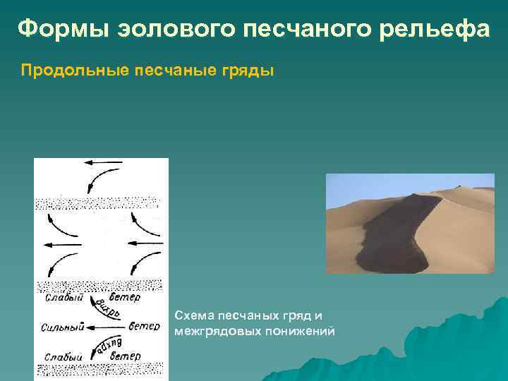 Формы эолового песчаного рельефа Продольные песчаные гряды Схема песчаных гряд и межгрядовых понижений 